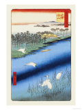 Buy Cranes on the River at AllPosters.com