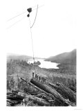Logging Scene