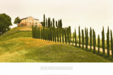 Buy Tuscan Hills at AllPosters.com