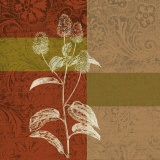 Plant Study IV
