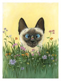 Bee-Wildered