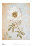 Buy Wedding Rose I at AllPosters.com
