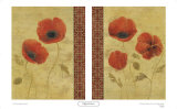 Poppy Patterns