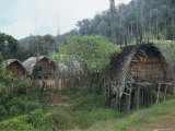 Buy Houses of Goilala People, Central Province, Papua New Guinea, Pacific at AllPosters.com