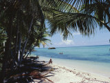 Buy Coral Sand Beach, Papua New Guinea at AllPosters.com