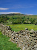 Buy Dry Stone Wall, Swaledale, North Yorkshire, England, UK, Europe at AllPosters.com