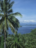 Buy Tropical Coastal Scenery, Bougainville Island, Papua New Guinea, Pacific at AllPosters.com