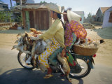 Buy Motorcyclist and Passenger Carrying Ducks, Vietnam at AllPosters.com