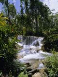 Buy Dunns River Falls, Jamaica, Caribbean, West Indies, Central America at AllPosters.com