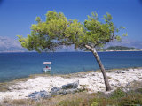 Buy Deserted Island Beach, Lumbarda, Corcula (Korcula) Island, Southern Dalmatia, Croatia, Europe at AllPosters.com