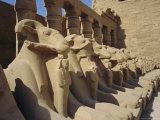 Temple of Karnak, Luxor, Egypt, North Africa