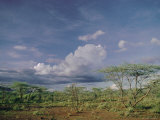 Buy Cumulus Clouds and Bushland, Kenya, East Africa, Africa at AllPosters.com