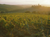Buy Vineyards and Ancient Monastery, Badia a Passignano, Greve, Chianti Classico, Tuscany, Italy at AllPosters.com