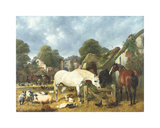 Buy In The Paddock at AllPosters.com