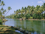 Buy The Backwaters at Chavara, Kerala State, India, Asia at AllPosters.com