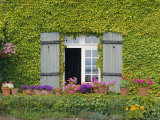 Buy Close-up of House at St. Servan-Sur-Mer, Near St. Malo, Brittany, France, Europe at AllPosters.com