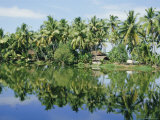 Buy The Backwaters Near Kumarakom, Kerala State, India, Asia at AllPosters.com