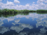 Buy Okavango Delta, Botswana, Africa at AllPosters.com