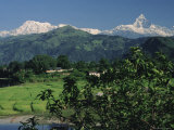 Buy Mount Machapuchare (Machhapuchhare), Himalayas, Nepal, Asia at AllPosters.com