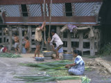 Buy Village Scene, Toba Bataks, North Sumatra, Sumatra, Indonesia, Southeast Asia, Asia at AllPosters.com