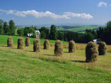 Typical Polish Landscape Near Zacopane, Tatra Mountains, Poland, Europe