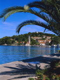Buy Promenade and Harbour, Cavtat, Croatia, Europe at AllPosters.com