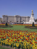 Buy Buckingham Palace, London at AllPosters.com