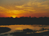 Buy Waterhole at Sunset, Namutoni Camp, Etosha National Park, Namibia, Africa at AllPosters.com