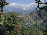Buy Gaddi Village, Dhaula Dhar Range, Western Himalayas, India, Asia at AllPosters.com
