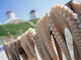 Octopus Drying in the Sun, Mykonos, Cyclades Islands, Greece, Europe