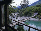 Buy Swing Bridge Over the Makarora River, Haast Pass, South Island, New Zealand, Pacific at AllPosters.com