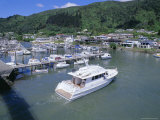 Buy Yacht Entering Picton Marina, Picton, Marlborough, South Island, New Zealand, Pacific at AllPosters.com