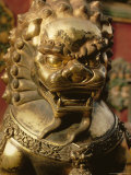 Buy Close-up of Bronze Lion Statue, Forbidden City, Beijing, China, Asia at AllPosters.com