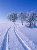 Buy Landscape in Winter at AllPosters.com