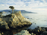Buy The Lone Cypress Tree on the Coast, Carmel, California, USA at AllPosters.com