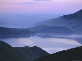 Buy Dunedin Area, Otago Peninsula, Otago, South Island, New Zealand at AllPosters.com