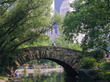 Buy The Pond, Central Park, New York, USA at AllPosters.com