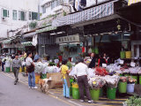 Flower Market, Mong Kok, Kowloon, Hong Kong, China, Asia