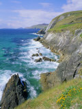 Buy Slea Head, Dingle Peninsula, County Kerry, Munster, Republic of Ireland (Eire), Europe at AllPosters.com