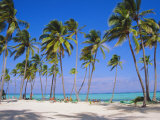 Dominican Republic, Punta Cana, West Indies