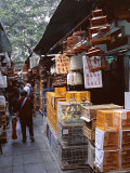 Bird Market, Yuen Po Street Bird Garden, Mong Kok, Kowloon, Hong Kong, China, Asia