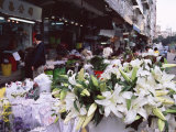 White Lilies, Flower Market, Mong Kok, Kowloon, Hong Kong, China, Asia