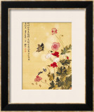 Buy Corn Poppy and Butterflies, 1702 at AllPosters.com
