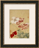 Buy Poppies at AllPosters.com