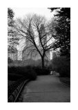 Buy Central Park at AllPosters.com