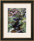 Buy Alpine Flowers by a Stream at AllPosters.com