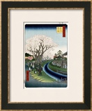 Buy Cherry Blossoms, Tama River Embankment at AllPosters.com