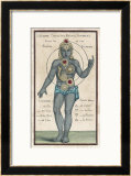 Theosophy Chakras 1696