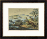 Buy Animals and Plants of the Post-Jurassic Era in Southern England at AllPosters.com
