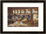 Buy In an Australian Sheep Shearing Shed at AllPosters.com